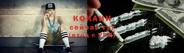 прущий лед Богородицк