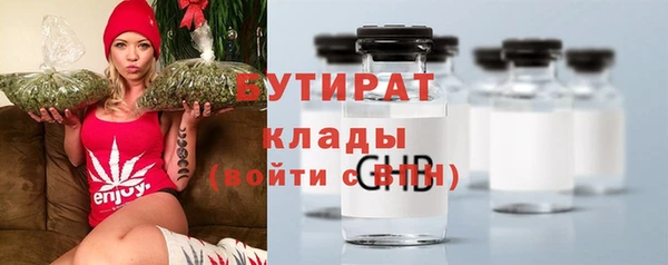 твердый Бородино