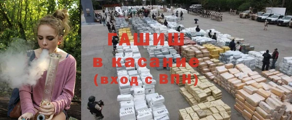 твердый Бородино